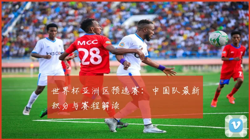 世界杯亚洲区预选赛:中国队最新积分与赛程解读