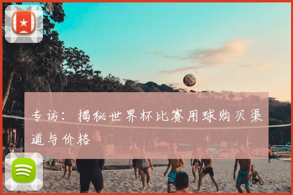 专访：揭秘世界杯比赛用球购买渠道与价格
