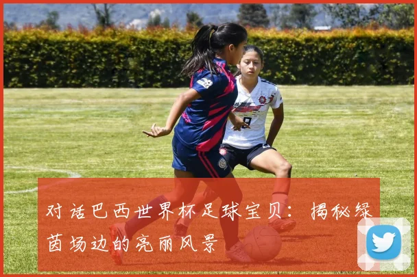 对话巴西世界杯足球宝贝:揭秘绿茵场边的亮丽风景