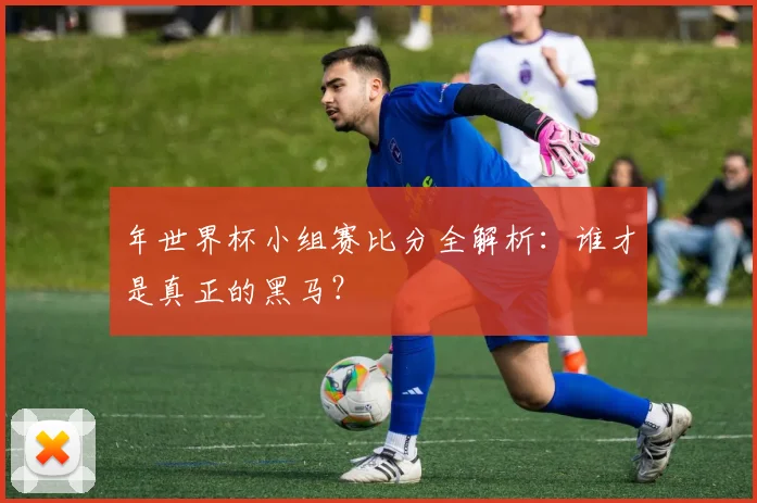年世界杯小组赛比分全解析:谁才是真正的黑马?
