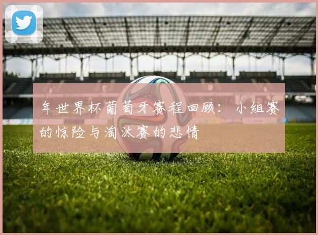 年世界杯葡萄牙赛程回顾：小组赛的惊险与淘汰赛的悲情