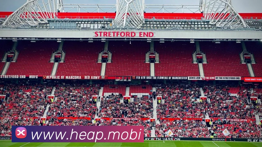 多媒体互动体验